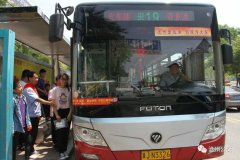 免费乘坐市区任意一条线