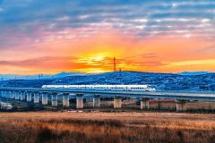 <strong>文图：常乐 孙标 马勇 梁</strong>