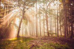 这份礼物可谓送到了心坎
