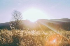 <strong>它们不仅融合了精湛的工</strong>