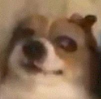 加兰41+11+7三分创快船队史纪录 快船双星联手送独