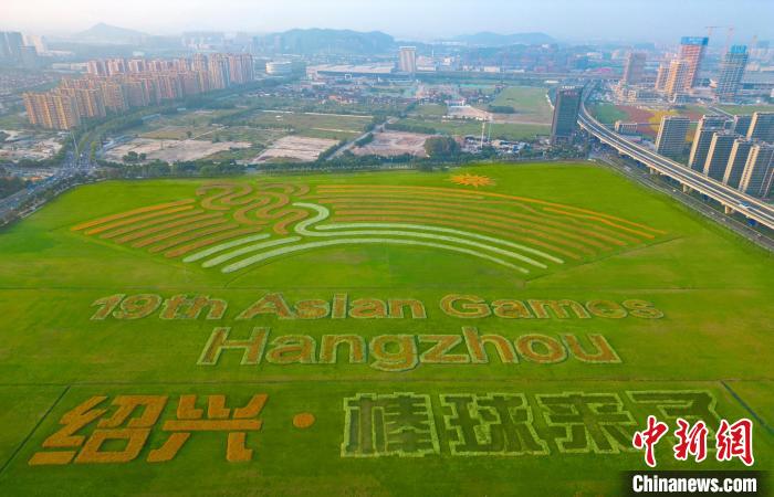 杭州亚运会棒球赛事氛围组火力全开打造沉浸式