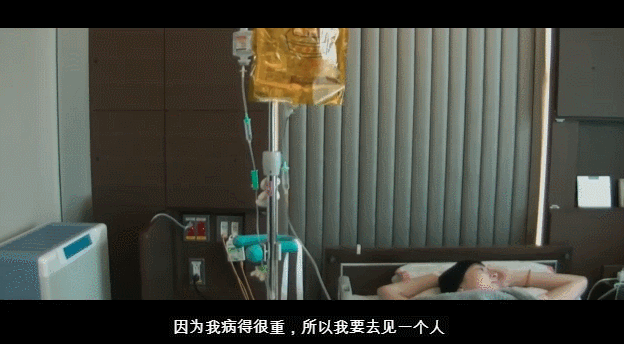 池江璃花子重返福冈世锦赛 四冠王书写生命奇迹