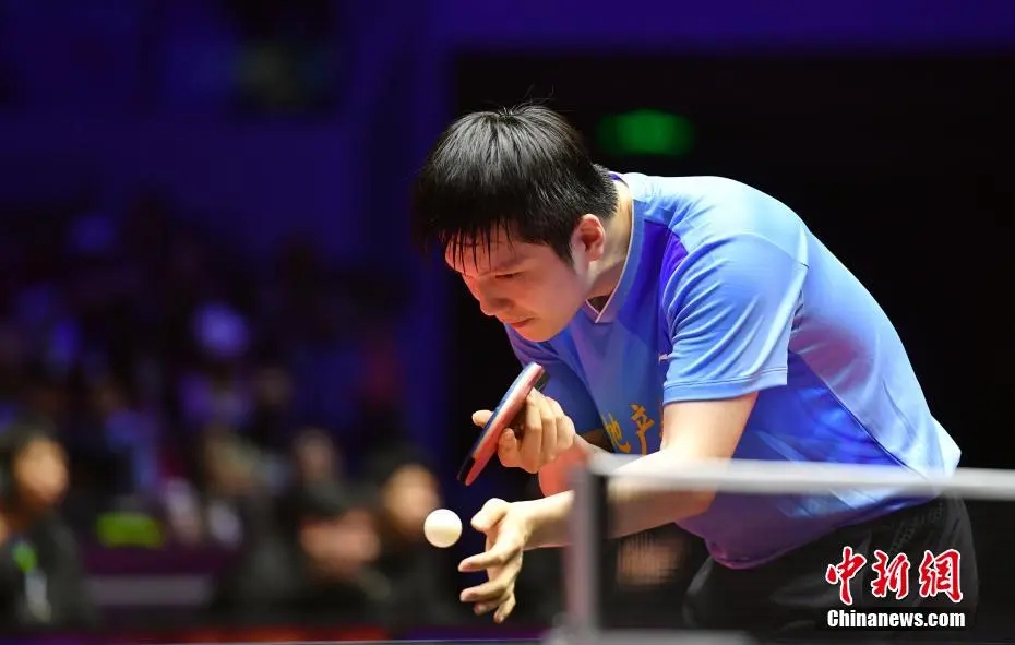 王楚钦多哈夺冠展望洛杉矶奥运，樊振东马龙助